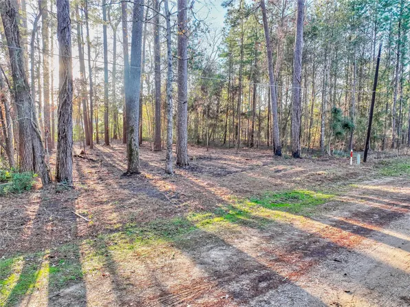 171 Pine Shadow St Lot 492, Coldspring, TX 77331