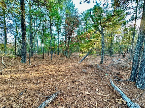 2nd image of 50 King Solomon Ln