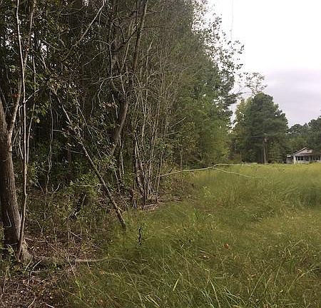 2nd image of 021301014 Caldonia Ln