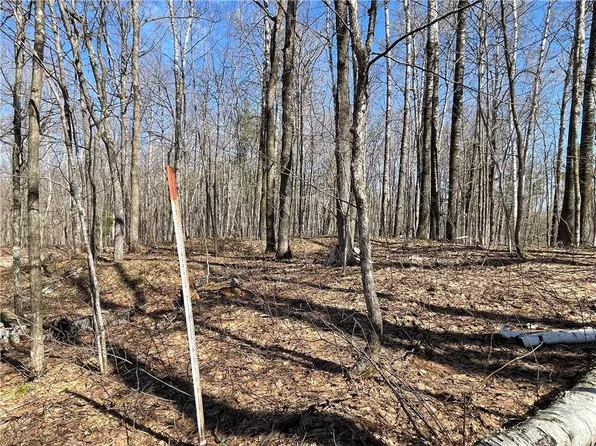Lot 6 Eagles Nest Road, Birchwood, WI 54817