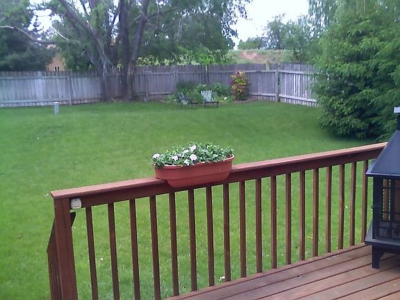 Fenced in backyard