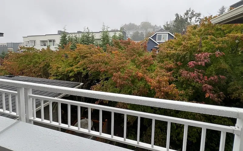 1 bed, 690 sqft, $2,200 — Photo 4