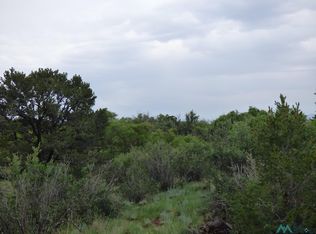 Collier Ave, Raton, NM 87740