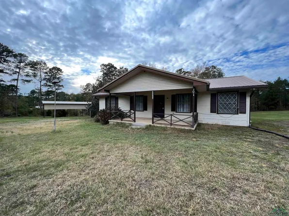 273 Sims Cir, Avinger, TX 75630