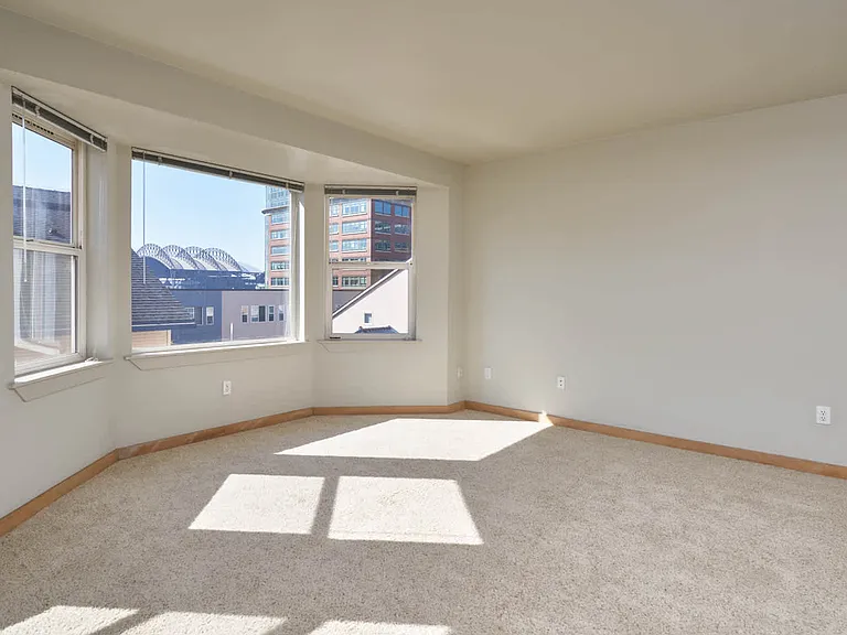 Carpeted Studio