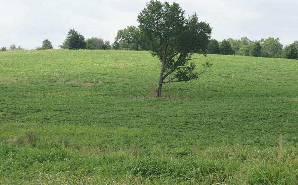 2nd image of 2246 Old Millersburg Rd