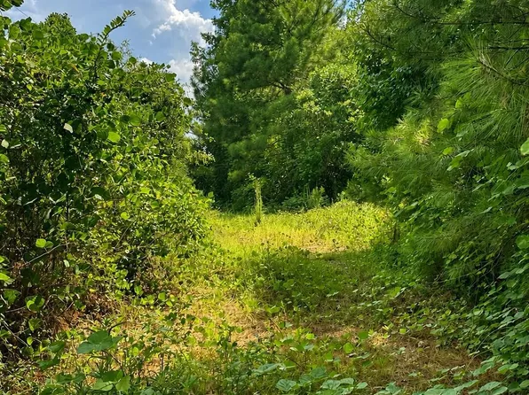 Scr 11a, Bay Springs, MS 39422