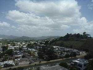view