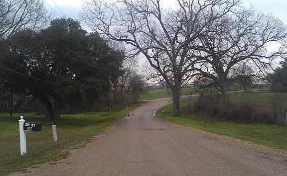 3rd image of 140 County Road 106