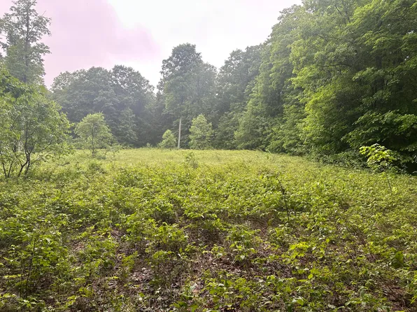 2 Tobias Rd, Elmira, MI 49730