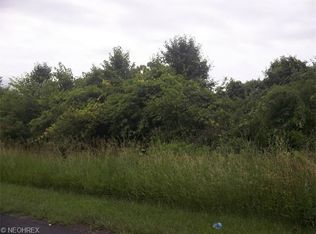 3256 Nelson Mosier Rd, Leavittsburg, OH 44430