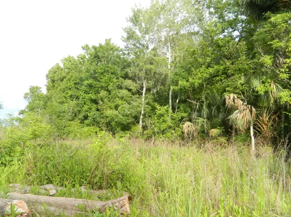 220 Fort Gates Ferry Rd, Crescent City, FL 32112