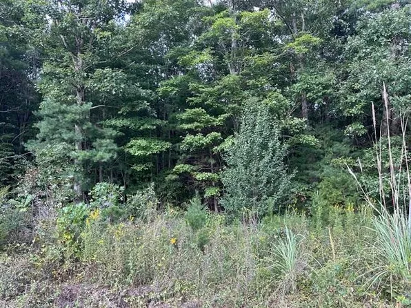 0 Briar Ridge Rd Tract A, Henry, VA 24102