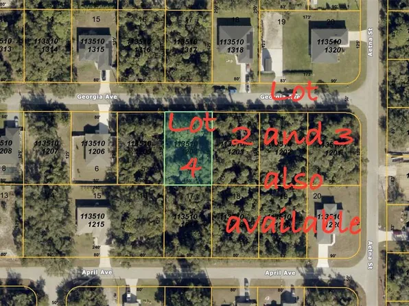 Georgia Ave Lot 3, North Pt, FL 34288