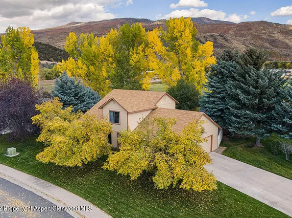 47 Coyote Cir, El Jebel, CO 81623