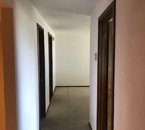 Entry hallway. This carpet will be replaced.