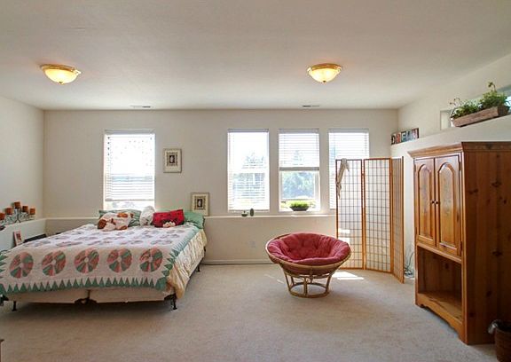 Basement Bonus Room