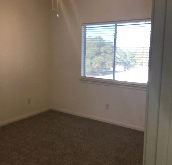 2913 Whisper Oaks Ln — Photo 6