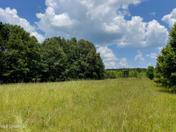 1 Stout Rd, Canton, MS 39046