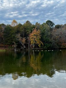 45 Pin Hook Rd Lot 45, Spring City, TN, 37381