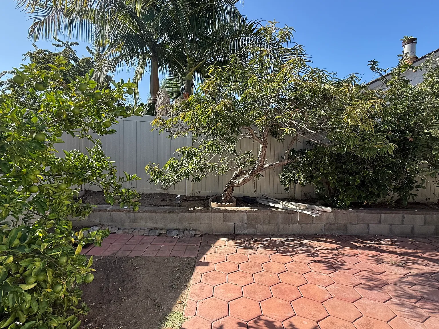3 bed, 1010 sqft, $3,400 — Photo 4