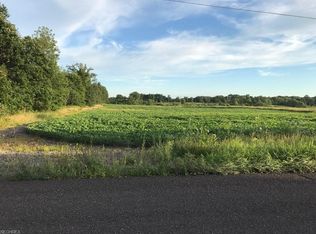 Selkirk Bush Rd, Newton Falls, OH 44444