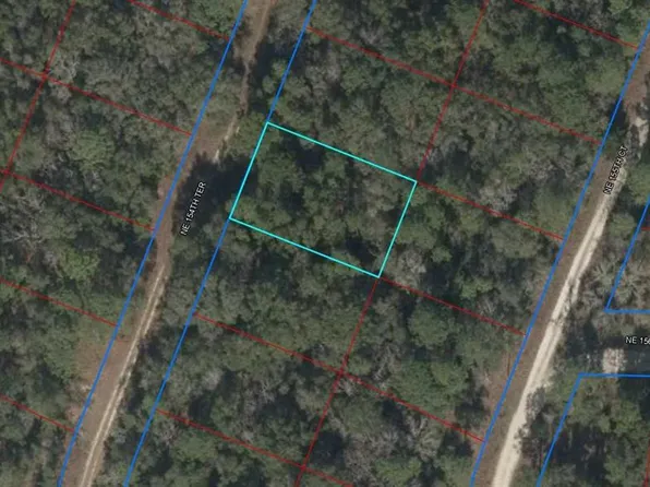 NE 154th Ter Lot 21, Williston, FL 32696