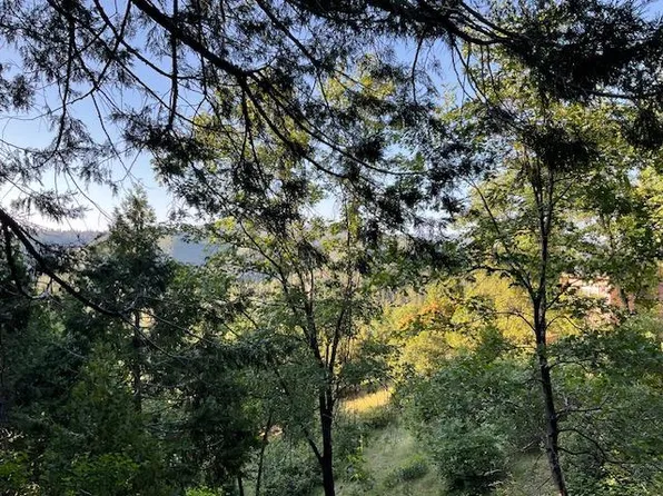 356 Snowberry Ct, Murphys, CA 95247