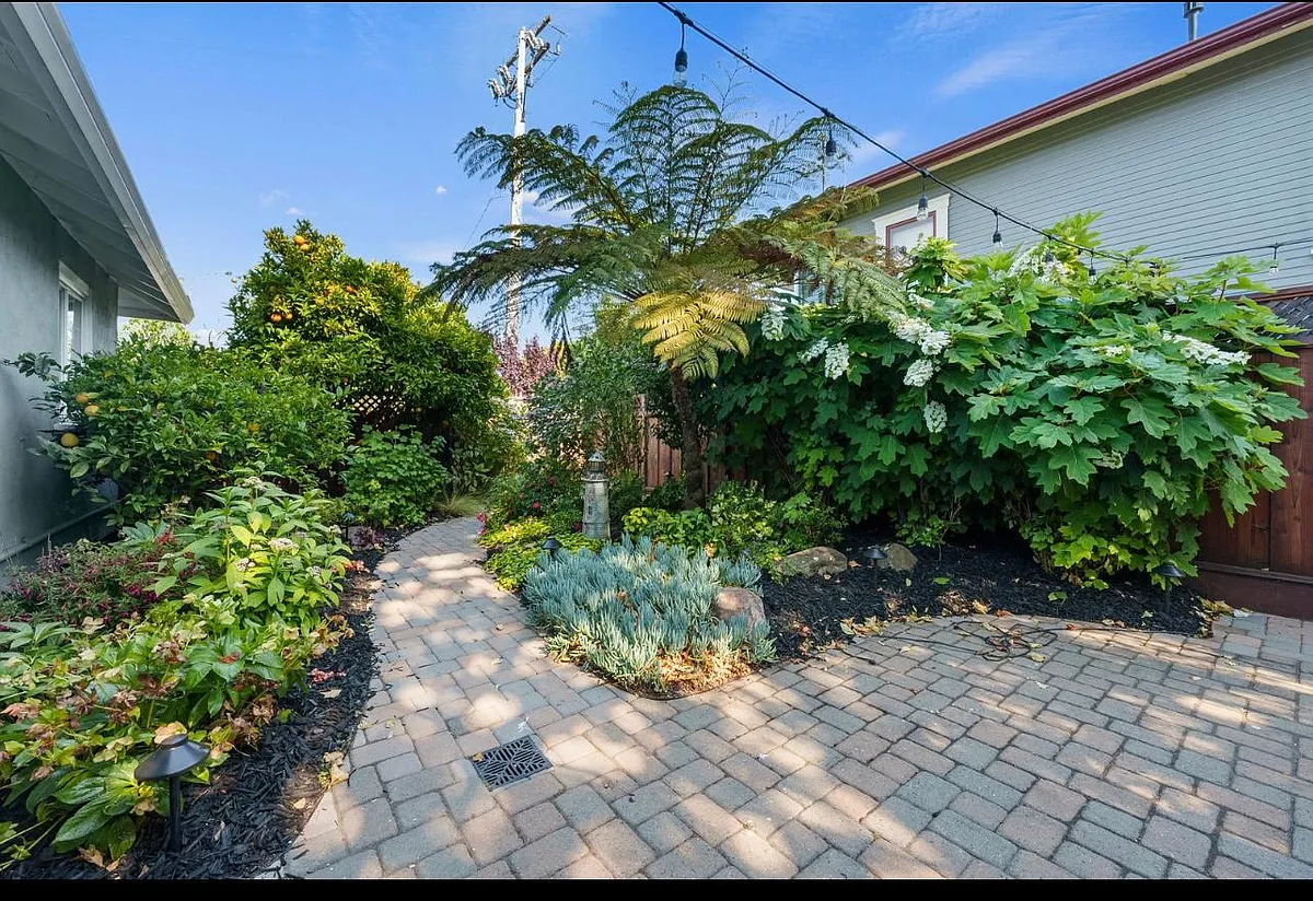 Building Photo - 713 Lighthouse Ave