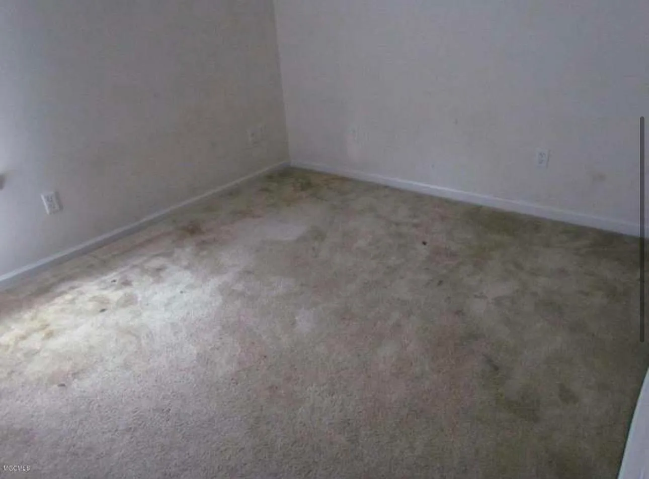3 bed, 1200 sqft, $1,600 — Photo 4