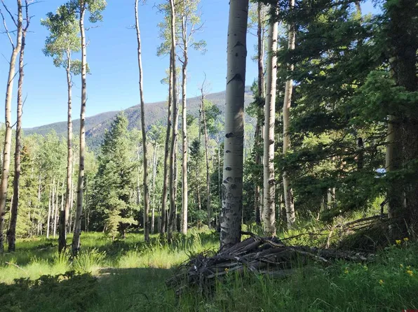 Lots 1-3 Block 84, Jasper, CO 81144