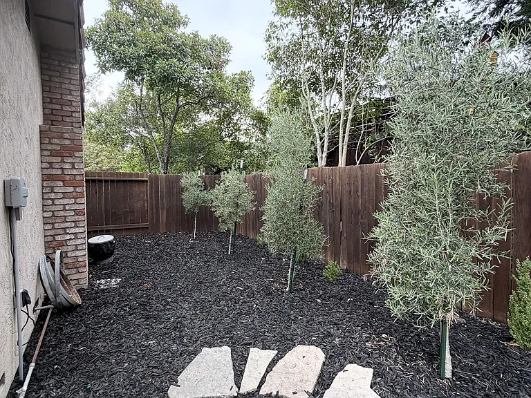 5427 Yerba Buena Rd — Photo 25