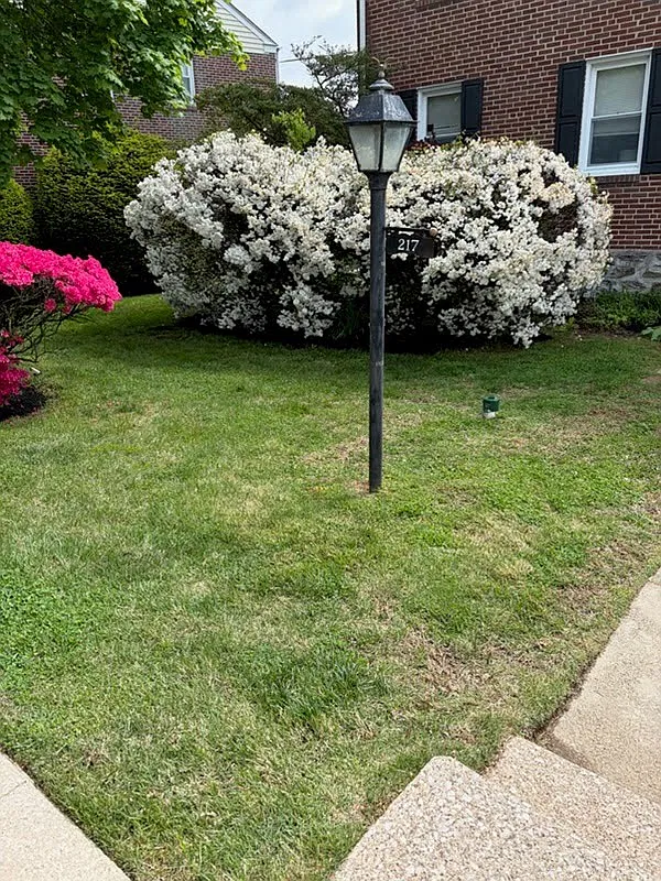 Pilgrim Gardens, Drexel Hill — Photo 2