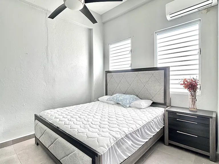 1504 Fernandez Juncos Ave #D — Photo 3