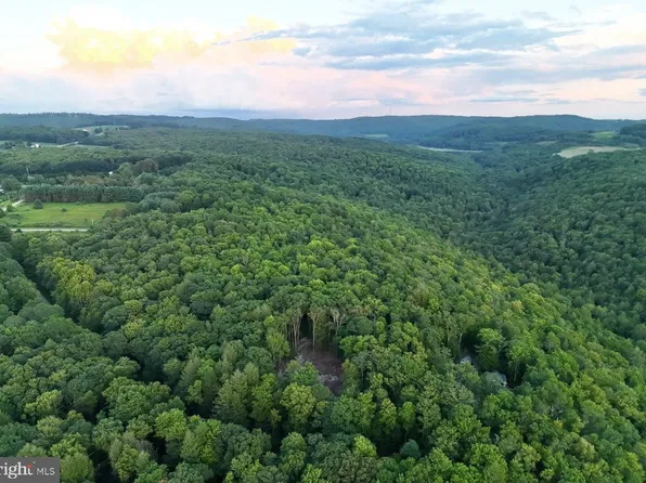 Scenic Dr, Grantsville, MD 21536