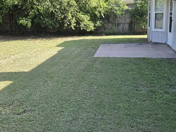3 bed, 1272 sqft, $1,500 — Photo 3