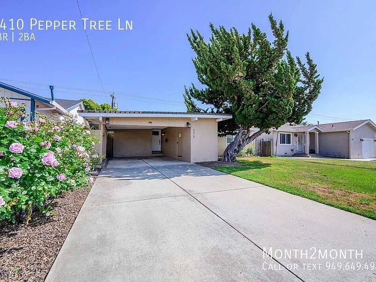 3410 Pepper Tree Ln — Photo 43