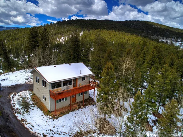220 Iris Drive, Bailey, CO 80421