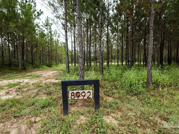 8992 Sage Forest Ln, Pace, FL 32571