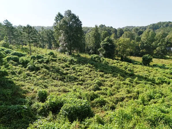 LOT 31 Arbor Creek Trl, Mineral Bluff, GA 30559
