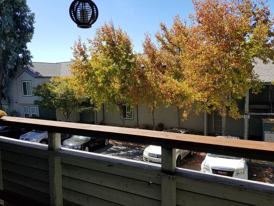 View from living room balcony.