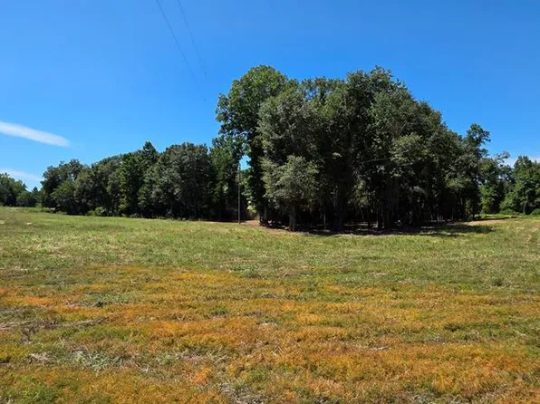LOT 7 Grady Garner Rd, Slocomb, AL 36375