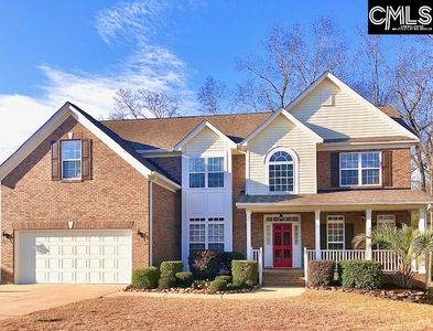 5 Chaparral Ct, Chapin, SC, 29036