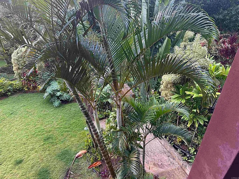 0 Kai Ikena Dr #5 — Photo 30