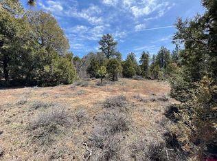 77 Jans Ct, Pagosa Springs, CO 81147