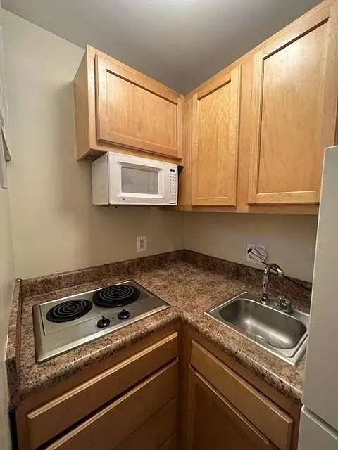 Studio, 375 sqft, $1,495 — Photo 3
