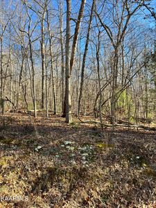 14 Homberg Ln, Fairfield Glade, TN, 38558