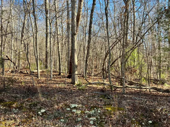 14 Homberg Ln, Fairfield Glade, TN 38558