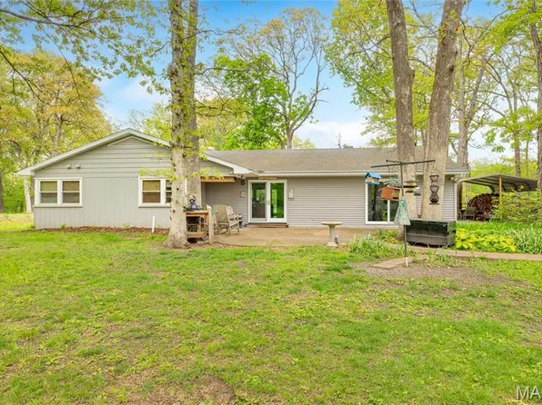 222 Prairietown Rd, Dorsey, IL 62021