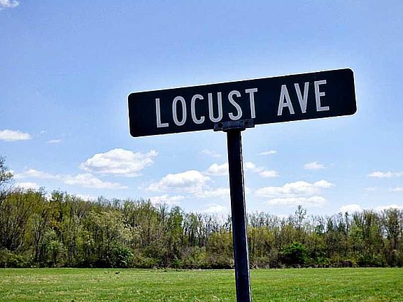 5th image of 0 Locust (lot #1)